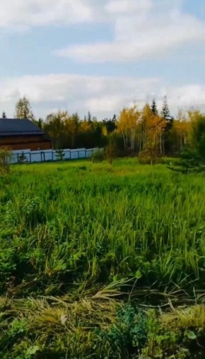 ДП Родной в Талице - talica.yutvil.ru