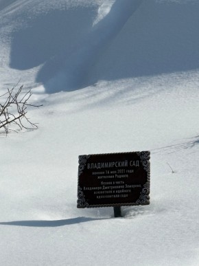 ДП Родной в Талице - talica.yutvil.ru - фото 11