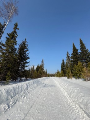 ДП Родной в Талице - talica.yutvil.ru - фото 7