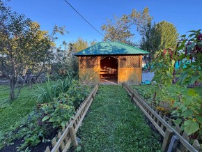 Екатеренбург сад Торгмаш, СНТ  Садовод, уч. 52 в Талице - talica.yutvil.ru - фото 10