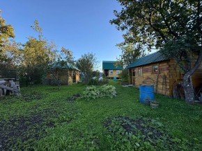 Екатеренбург сад Торгмаш, СНТ  Садовод, уч. 52 в Талице - talica.yutvil.ru - фото 14