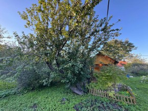 Екатеренбург сад Торгмаш, СНТ  Садовод, уч. 52 в Талице - talica.yutvil.ru - фото 17