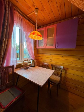 Екатеренбург сад Торгмаш, СНТ  Садовод, уч. 52 в Талице - talica.yutvil.ru - фото 4