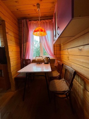 Екатеренбург сад Торгмаш, СНТ  Садовод, уч. 52 в Талице - talica.yutvil.ru - фото 5