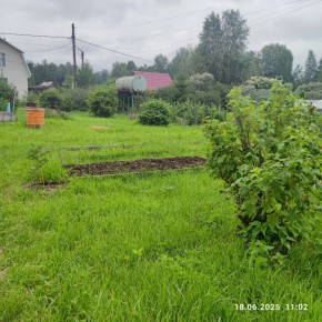 г Верхняя пышма, СНТ Мираж, уч.№ 99 в Талице - talica.yutvil.ru - фото 8