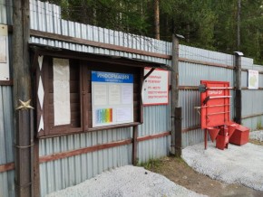 г.Верхняя Пышма СНТ №5 Березки в кв. 22 Среднеуральского Уралмашевского лесхоза в Талице - talica.yutvil.ru - фото 18