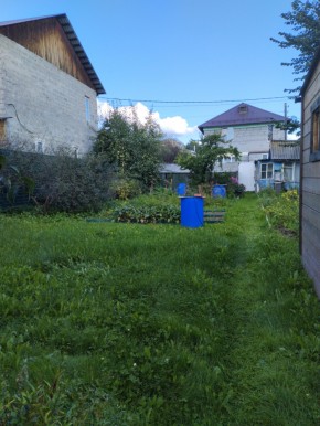 Коллективный сад номер 7, участок 58 в Талице - talica.yutvil.ru - фото 26 Коллективный сад номер 7, участок 58 в Талице - talica.yutvil.ru - фото 26