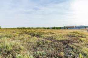 Российская Федерация, Свердловская область, Сысертский городской округ, территория садоводческого некоммерческого товарищества Бобровские дачи, улица Каштановая, земельный участок № 38 в Талице - talica.yutvil.ru - фото 24