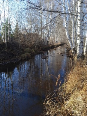 СНТ Берёзка в Талице - talica.yutvil.ru - фото 14