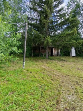 СНТ Калининец-10, уч. 1-11-3 в Талице - talica.yutvil.ru - фото 3 СНТ Калининец-10, уч. 1-11-3 в Талице - talica.yutvil.ru - фото 3