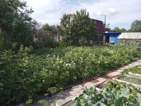 СНТ Медик-2 в Талице - talica.yutvil.ru - фото 6