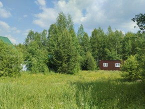 СНТ Огонек участок 3 в Талице - talica.yutvil.ru - фото 28