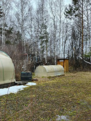 СНТ Родники в Талице - talica.yutvil.ru - фото 14 СНТ Родники в Талице - talica.yutvil.ru - фото 14