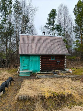 СНТ Родники в Талице - talica.yutvil.ru - фото 8 СНТ Родники в Талице - talica.yutvil.ru - фото 8