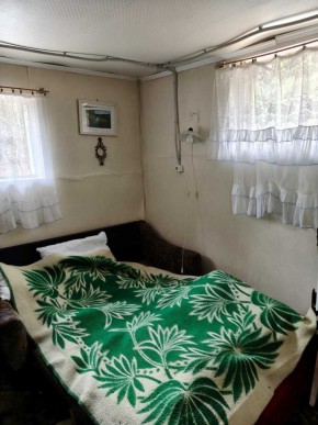 СНТ Родники в Талице - talica.yutvil.ru - фото 10 СНТ Родники в Талице - talica.yutvil.ru - фото 10