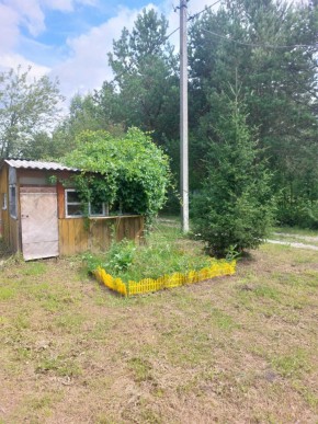 СНТ Родники в Талице - talica.yutvil.ru - фото 2 СНТ Родники в Талице - talica.yutvil.ru - фото 2