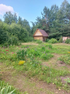 СНТ Родники в Талице - talica.yutvil.ru - фото 3 СНТ Родники в Талице - talica.yutvil.ru - фото 3