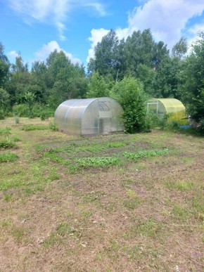 СНТ Родники в Талице - talica.yutvil.ru - фото 4 СНТ Родники в Талице - talica.yutvil.ru - фото 4