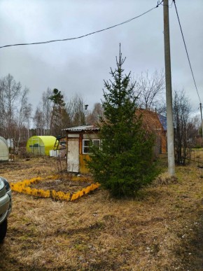 СНТ Родники в Талице - talica.yutvil.ru - фото 5 СНТ Родники в Талице - talica.yutvil.ru - фото 5