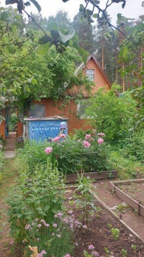 СНТ Садовод-24 в Талице - talica.yutvil.ru