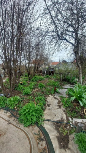 СНТ Сирень, уч. 38 в Талице - talica.yutvil.ru - фото 7