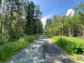 СПК Юбилейный, уч. 9 в Талице - talica.yutvil.ru - фото 1