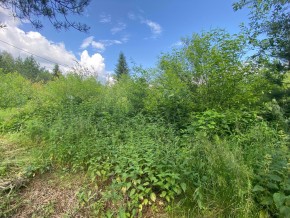 СПК Юбилейный, уч. 9 в Талице - talica.yutvil.ru - фото 7