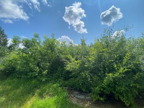 СПК Юбилейный, уч. 9 в Талице - talica.yutvil.ru - фото 9