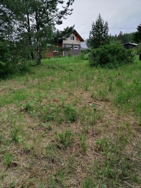 СТН Семья №112, Верхняя пышма на землях бывшего подсобного хозяйтва верхнепышминского опытного завода в Талице - talica.yutvil.ru - фото 13 СТН Семья №112, Верхняя пышма на землях бывшего подсобного хозяйтва верхнепышминского опытного завода в Талице - talica.yutvil.ru - фото 13