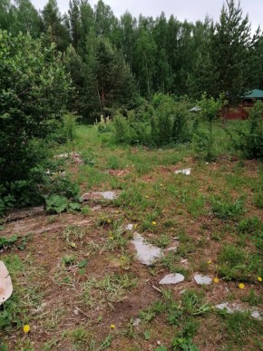 СТН Семья №112, Верхняя пышма на землях бывшего подсобного хозяйтва верхнепышминского опытного завода в Талице - talica.yutvil.ru - фото 17 СТН Семья №112, Верхняя пышма на землях бывшего подсобного хозяйтва верхнепышминского опытного завода в Талице - talica.yutvil.ru - фото 17