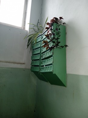 ул. Бажова,11 в Талице - talica.yutvil.ru - фото 2 ул. Бажова,11 в Талице - talica.yutvil.ru - фото 2