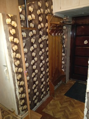 ул. Бажова,11 в Талице - talica.yutvil.ru - фото 9