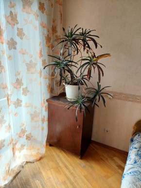 ул. Индустрии,29 в Талице - talica.yutvil.ru - фото 4