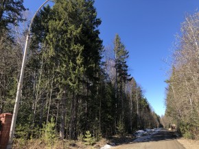 ул. Калиновая,9 в Талице - talica.yutvil.ru - фото 4