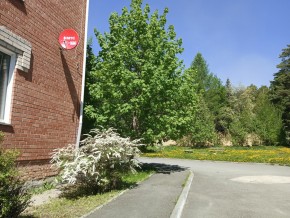 ул. Сосновая, 8 в Талице - talica.yutvil.ru - фото 25 ул. Сосновая, 8 в Талице - talica.yutvil.ru - фото 25