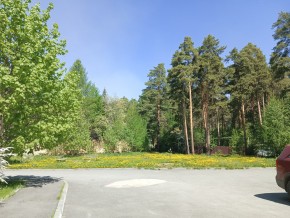 ул. Сосновая, 8 в Талице - talica.yutvil.ru - фото 26 ул. Сосновая, 8 в Талице - talica.yutvil.ru - фото 26