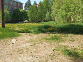 ул. Сосновая, 8 в Талице - talica.yutvil.ru - фото 33 ул. Сосновая, 8 в Талице - talica.yutvil.ru - фото 33