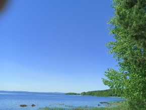 ул. Сосновая, 8 в Талице - talica.yutvil.ru - фото 34 ул. Сосновая, 8 в Талице - talica.yutvil.ru - фото 34