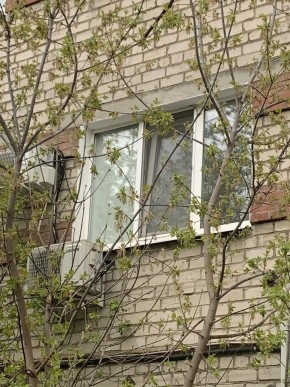 ул. Таганская,8 в Талице - talica.yutvil.ru - фото 14