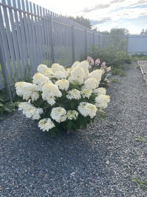 ул. Весенняя,12 в Талице - talica.yutvil.ru - фото 20